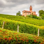 Wines from Piedmonte